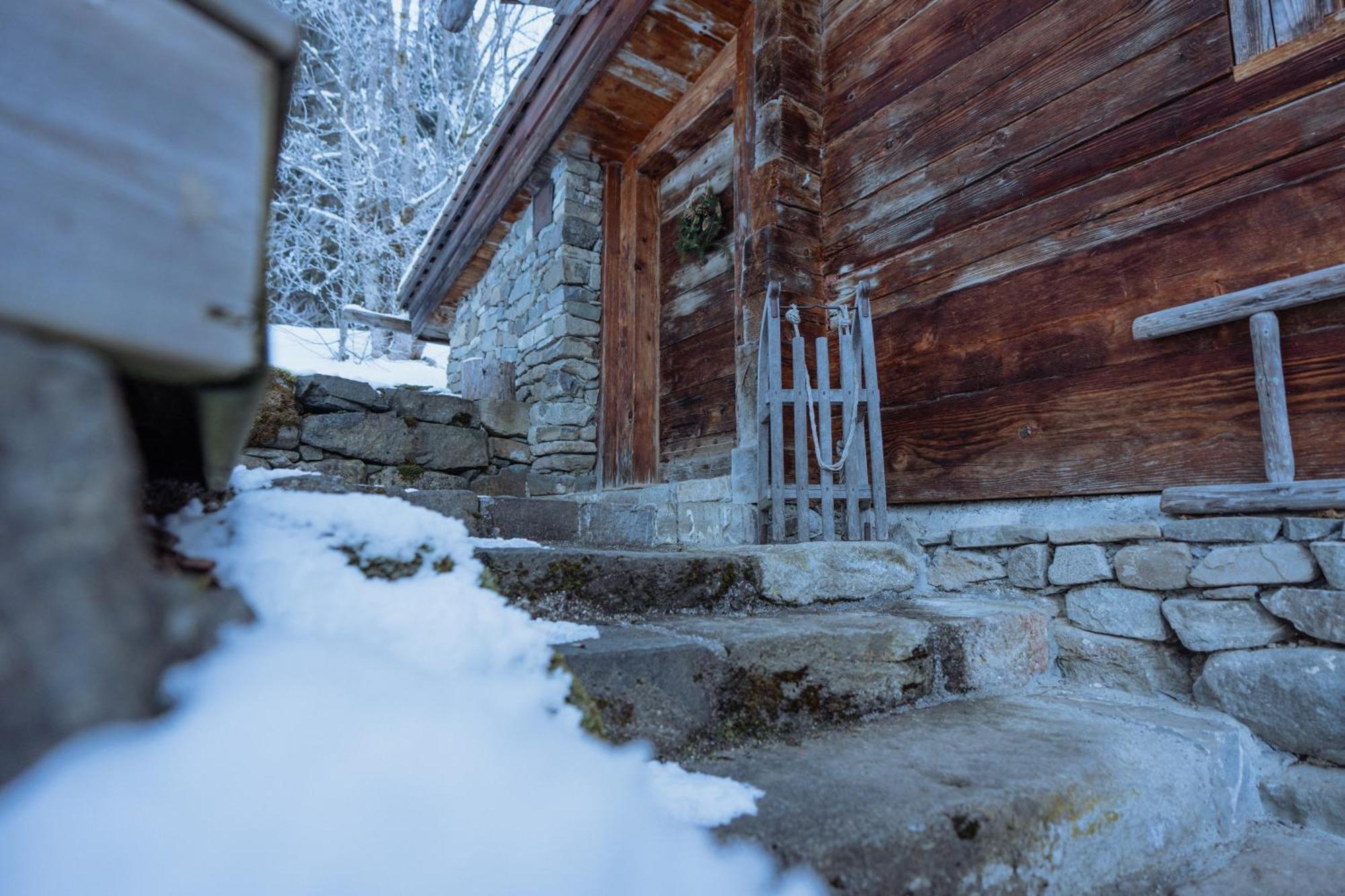Chalet 1864 Ле-Гран-Борнан Экстерьер фото